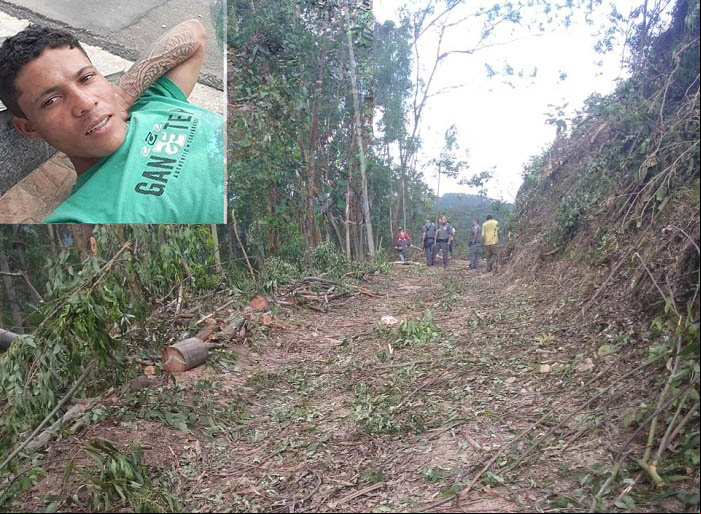 Maetinguense que trabalhava em Lenheiro em Jundiaí morre após ser atingido por árvore