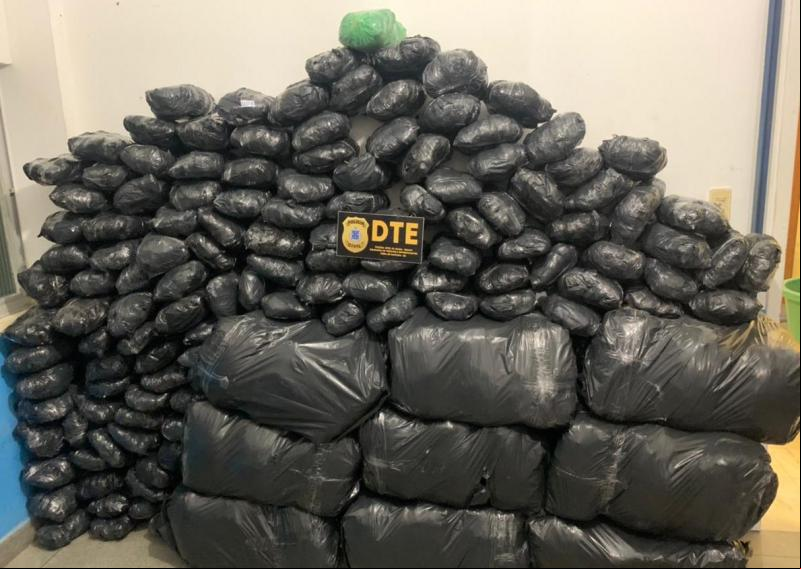 DTE de Feira  de Santana apreende carregamento de maconha estimado em R$ 500 mil
