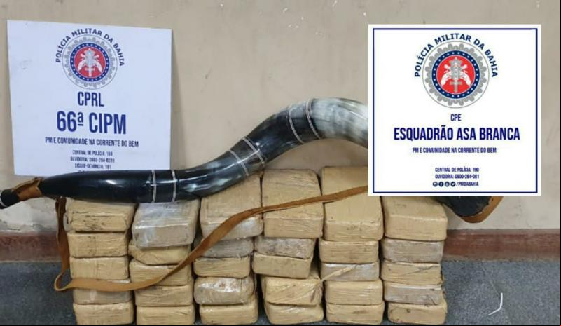  Polícia Miliar apreende R$ 750 mil em pasta base de cocaína na BR-116