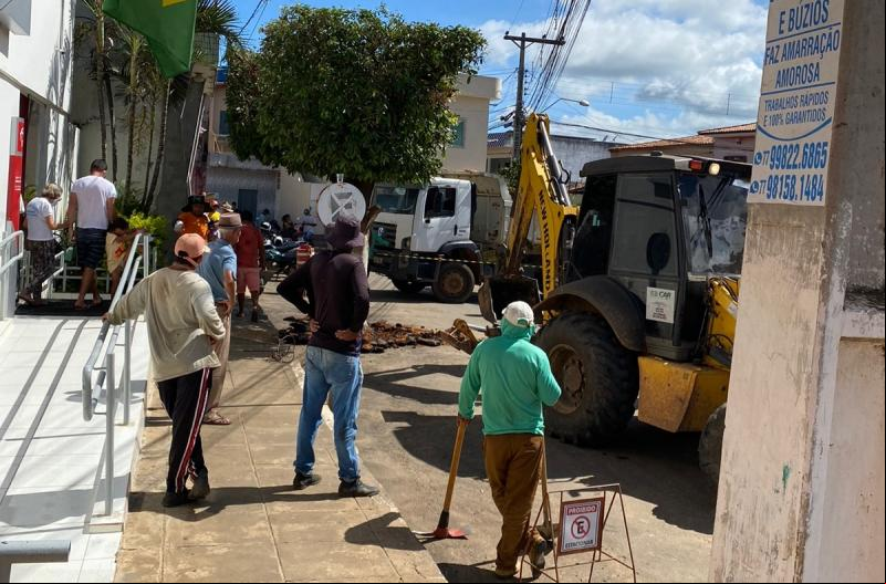 População se revolta com retiradas de árvores em Malhada de Pedras, mas prefeito justifica